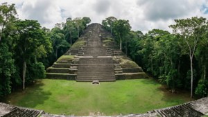Acropolis in the Jungle