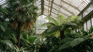 Adelaide Botanic Garden Glasshouse