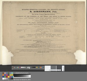 [Advertisement] Eclipse Sporting Gallery