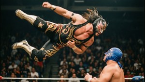 Aerial Assault