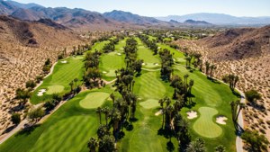 Aerial Desert Oasis