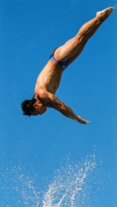 Aerial Elegance
