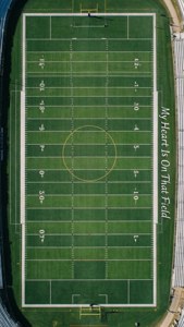 Aerial Field