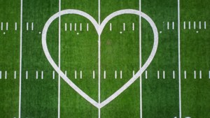 Aerial Field Heart