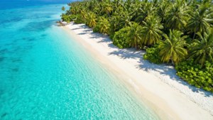 Aerial Tropical Paradise