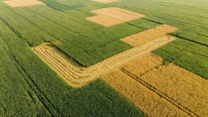 Aerial Wheat Patterns