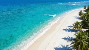 Aerial White Beach Curve