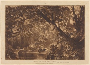 Aesacus and Hesperie