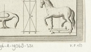 Afbeelding van een vogel en een paard