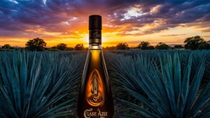 Agave Sunset
