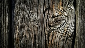 Aged Barn Wood