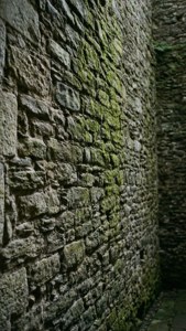 Aged Castle Slate