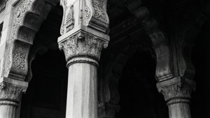 AIIMS Entrance Pillars Monochrome