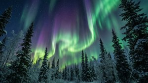 Alaskan Northern Lights