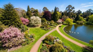 Albury Botanical Spring