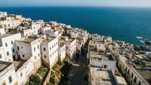 Algiers Casbah Aerial