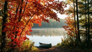 Algonquin Autumn Serenity