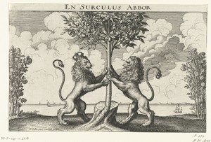 Allegorie op het huweljk tussen prins Willem II en Maria Stuart, 1641