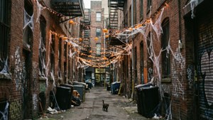 Alleyway Halloween