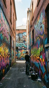 Alleyway Murals