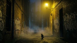 Alleyway Secrets