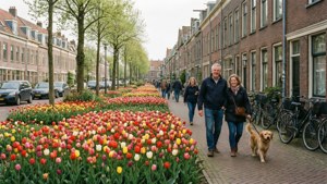 Almere Tulip Streets