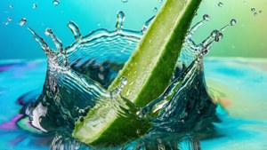 Aloe Swirl Macro