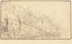 Along the River (Sur la riviere)