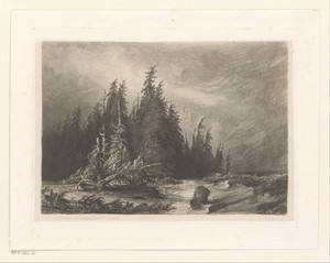 Alpenlandschap met dennenbomen aan het water