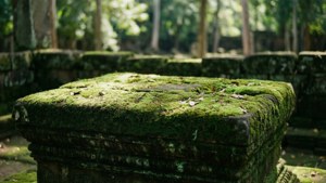 Altar in the Shade