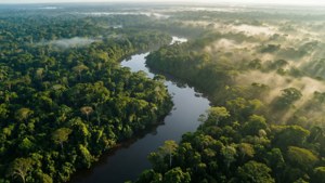 Amazon River Aerial