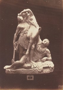Amazons