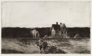 American Landscape