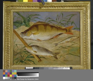 An Angler's Catch of Coarse Fish