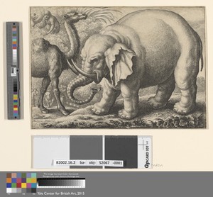 An Elephant and a Camel