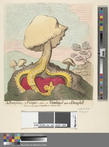 An Excrescence; - Afungus; - Alias - A Toadstool Upon a Dung-Hill
