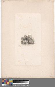 An Old Oak