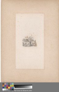 An Old Oak