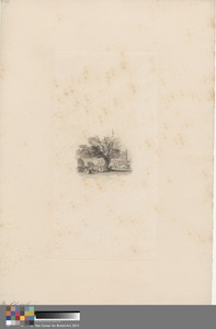 An Old Oak