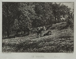 An Orchard