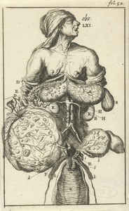 Anatomische afbeelding II