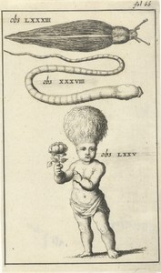 Anatomische afbeelding III
