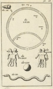 Anatomische afbeelding IV