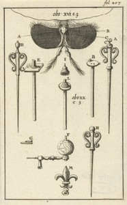 Anatomische afbeelding VIII