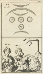 Anatomische afbeelding XIII