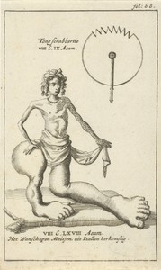 Anatomische afbeelding XXII