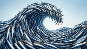 Anchovy Wave Formation
