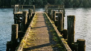 Ancient Jetty