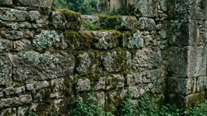 Ancient Mossy Stone