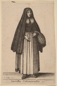 Ancilla Coloniensis